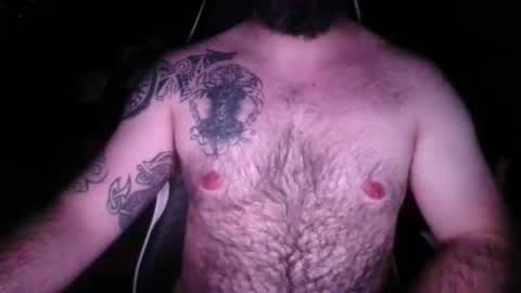 chub bear 99 online show from May 7, 2026, 12:27 am