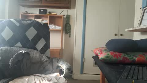 Snapshot of chuck7891 chatting on October 22, 2025, 2:50 pm chuck7891 online show from October 22, 2025, 2:50 pm