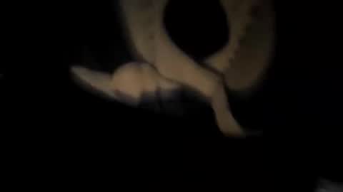 chuck7891 online show from November 30, 2025, 12:47 am