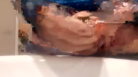 Snapshot of chule63 chatting on January 25, 2025, 9:47 am chule63 online show from January 25, 2025, 9:47 am