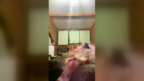 chzljqzbysno online show from January 14, 2026, 12:22 pm