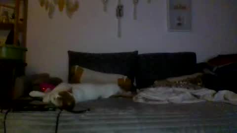 Snapshot of ciasnsyrize1996 chatting on March 4, 2025, 9:54 pm ciasnsyrize1996 online show from March 4, 2025, 9:54 pm