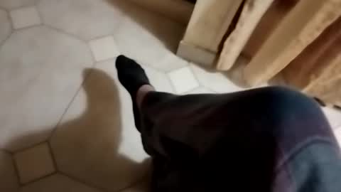 ciccilli online show from October 28, 2025, 10:12 pm