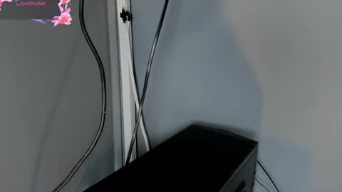 Cintia online show from November 4, 2025, 12:04 pm