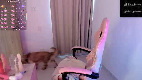 Paulina online show from November 17, 2025, 9:31 pm