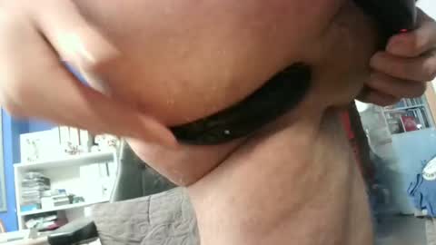 Circus Bear online show from January 29, 2025, 3:58 pm