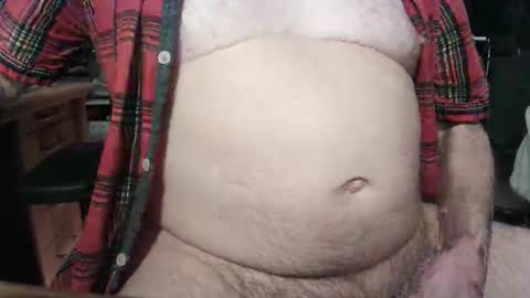 Circus Bear online show from October 22, 2025, 5:30 am