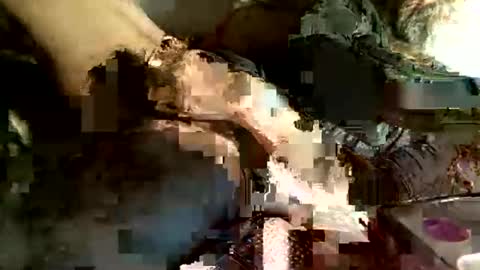 dan online show from March 5, 2025, 4:13 am