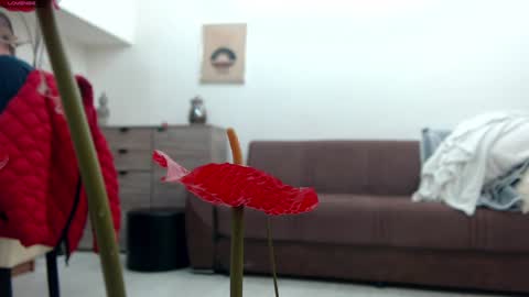 Snapshot of classy_medeeea chatting on December 22, 2024, 9:44 am Deea xxx online show from December 22, 2024, 9:44 am