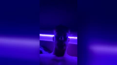 clemfitx online show from May 26, 2026, 9:55 pm