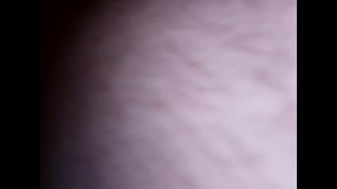 clit_commander209 online show from November 27, 2025, 7:54 am