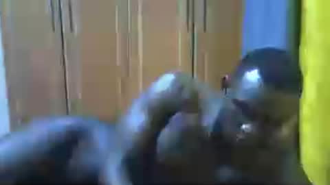clive_damian online show from July 1, 2026, 5:56 pm