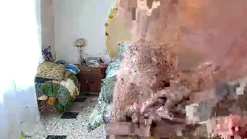 cmapetitebite online show from February 7, 2026, 12:09 pm