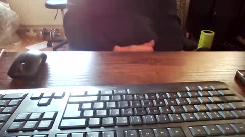 cock4onenight online show from February 7, 2025, 12:28 pm