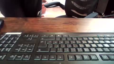 cock4onenight online show from March 12, 2025, 10:26 am