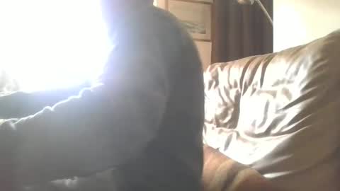 cock9635 online show from December 28, 2024, 7:55 am