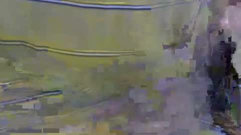 cockreadynow4u online show from October 22, 2025, 5:08 am