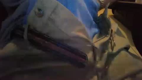 Snapshot of cocksmana chatting on January 19, 2026, 5:22 am cocksmana online show from January 19, 2026, 5:22 am