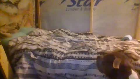 lickerpro69 online show from February 13, 2026, 10:33 am