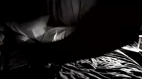 Snapshot of cojax1414 chatting on September 25, 2025, 2:04 am Mr. Fun Time online show from September 25, 2025, 2:04 am