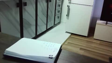 collegegymbro online show from December 13, 2024, 9:41 pm