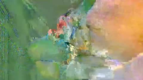 colourlight online show from November 24, 2025, 12:10 am