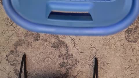 Jhoan online show from February 23, 2026, 12:09 am