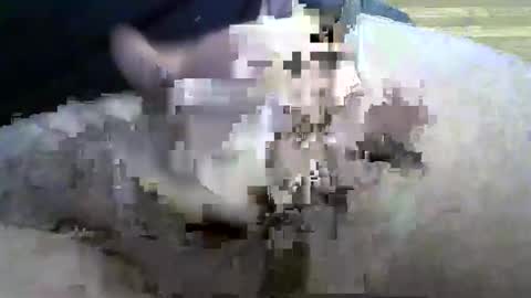 coneyguy online show from September 26, 2025, 1:26 pm