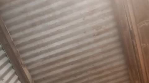 Jaiscookie cum play with me online show from February 19, 2026, 6:31 am