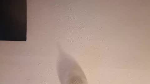 cooper_120805 online show from September 23, 2025, 2:47 am