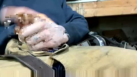 Snapshot of copart84 chatting on December 28, 2024, 5:03 pm copart84 online show from December 28, 2024, 5:03 pm