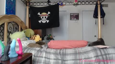 Snapshot of costumemenagerie chatting on January 26, 2025, 2:45 am Amethyst Cox online show from January 26, 2025, 2:45 am