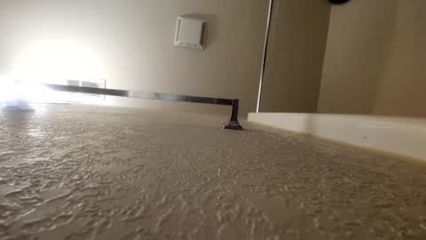 countdownsub online show from January 12, 2025, 10:34 am