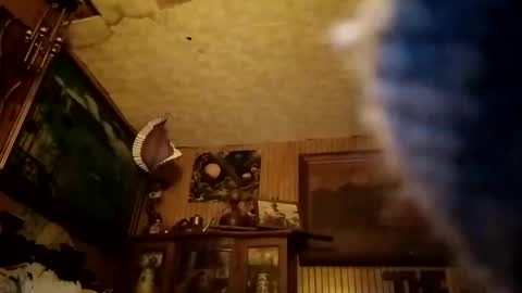 countryboy42225238 online show from December 29, 2024, 6:56 am