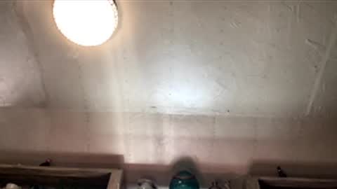 countryjoe2002 online show from December 18, 2025, 6:47 pm