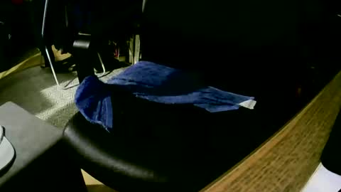 coyote017 online show from February 9, 2025, 4:18 pm