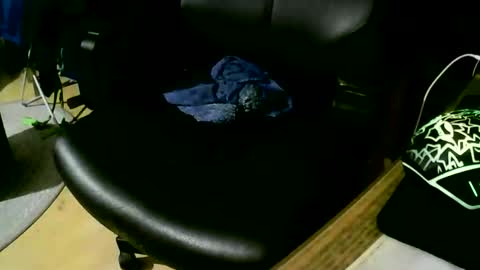 coyote017 online show from November 17, 2025, 9:31 pm