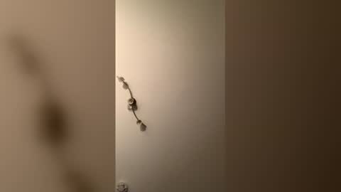 cp1a online show from December 18, 2025, 8:37 pm