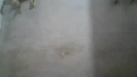 crazzy_booy online show from June 11, 2026, 4:32 am