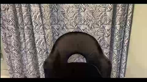 CreamOnMyCakes online show from September 12, 2025, 10:04 am