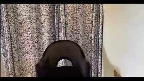 CreamOnMyCakes online show from September 22, 2025, 9:11 am