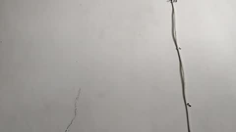 CreamyCocoBabe online show from April 29, 2026, 8:04 pm