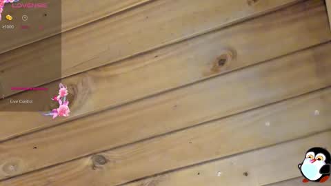 Cristal online show from March 22, 2026, 4:05 am