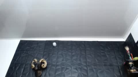 Snapshot of cristal_smith06 chatting on February 26, 2026, 10:25 am Hanna online show from February 26, 2026, 10:25 am