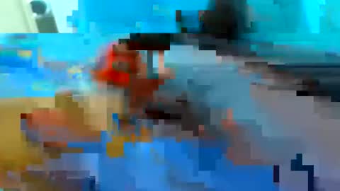 cristian20240816 online show from May 17, 2026, 2:46 pm