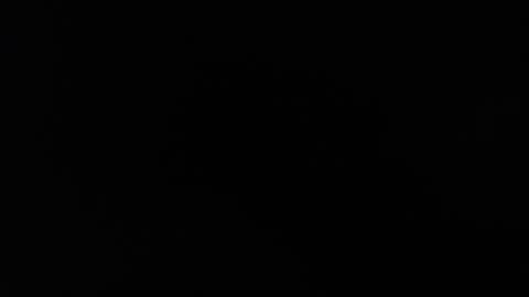 cristopher_2004 online show from March 5, 2025, 9:37 pm