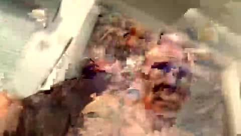 critterick6674 online show from March 31, 2026, 11:27 pm