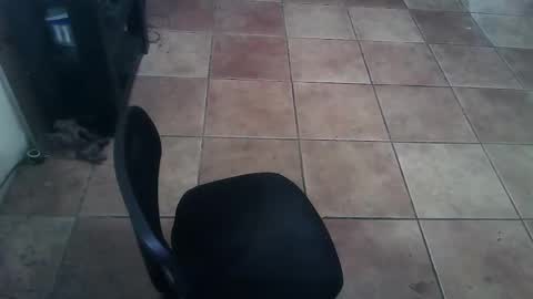 crossdressernola504 online show from February 26, 2026, 6:29 pm