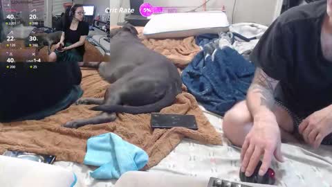 Crownandkat online show from March 2, 2026, 11:33 pm