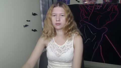 Stella online show from November 20, 2025, 7:30 am